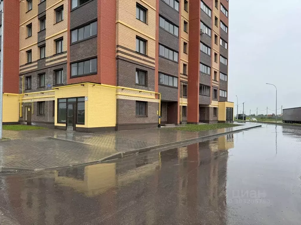 Торговая площадь в Калужская область, Калуга ул. Фомушина, 37 (290 м) - Фото 0