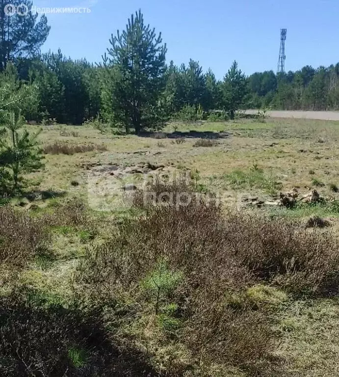 Участок в Лодейное Поле, Рабоче-Крестьянская улица (10 м) - Фото 2