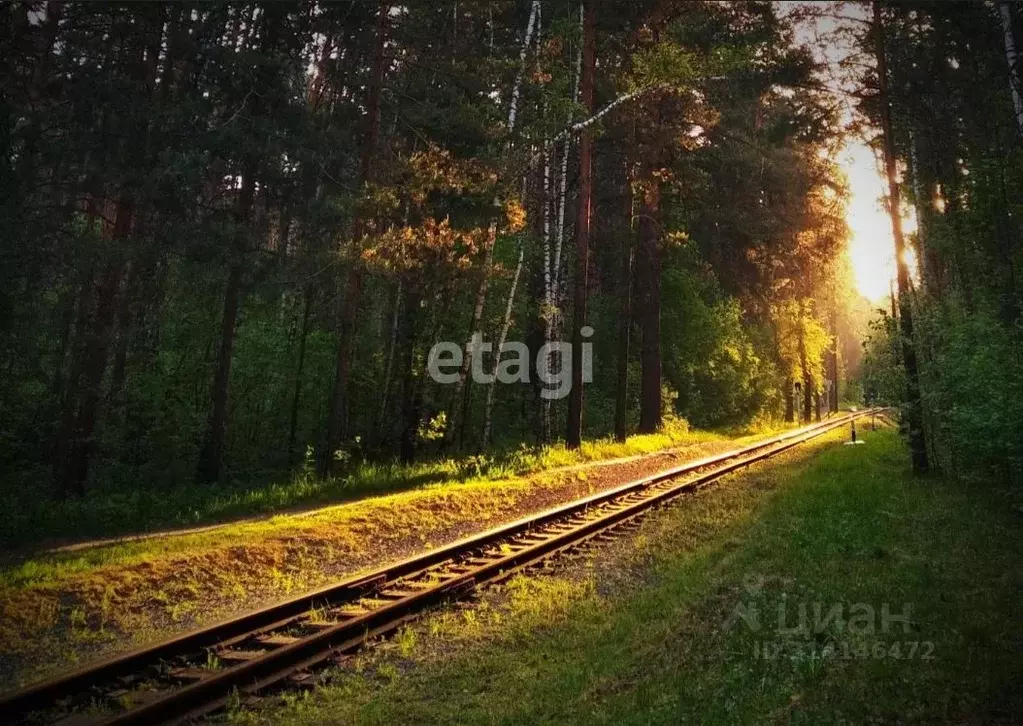 Участок в Новосибирская область, Новосибирск Заельцовский Парк тер.,  ... - Фото 0