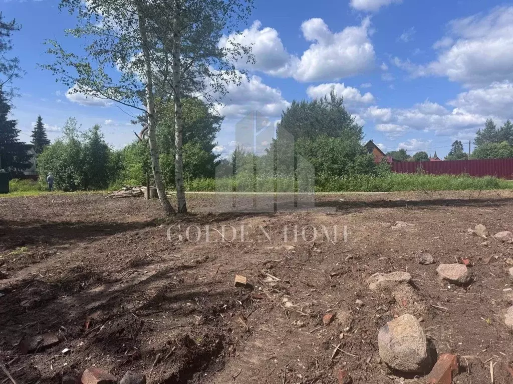 Участок в Ленинградская область, Выборгский район, Рощинское городское ... - Фото 1