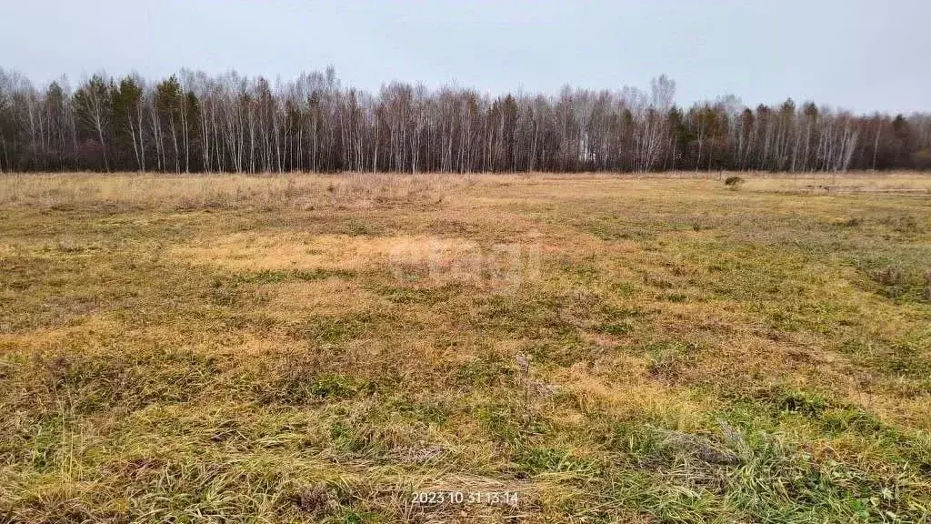 Участок в Амурская область, с. Тамбовка  (10.0 сот.) - Фото 0