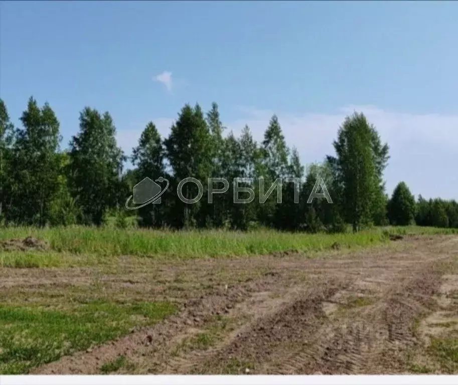 Участок в Тюменская область, Тюменский район, с. Горьковка Сибирская ... - Фото 1