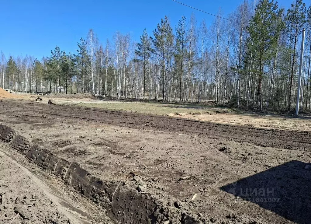 Участок в Ленинградская область, Всеволожское городское поселение, ... - Фото 2