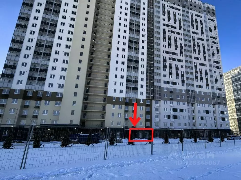 Торговая площадь в Санкт-Петербург дор. Муринская, 6 (74 м) - Фото 1