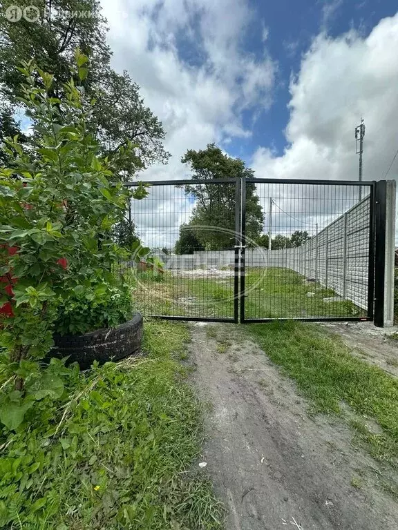 Участок в Калининградская область, Гурьевский муниципальный округ, ... - Фото 2