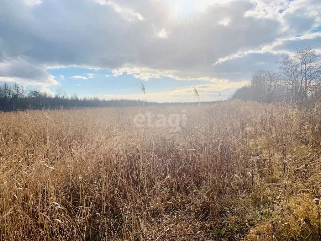 Участок в Сахалинская область, Невельский городской округ, с. Ватутино ... - Фото 1