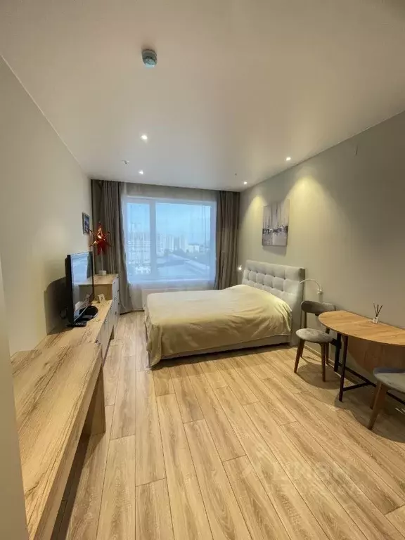 Студия Санкт-Петербург просп. Энергетиков, 8к2 (25.6 м) - Фото 1