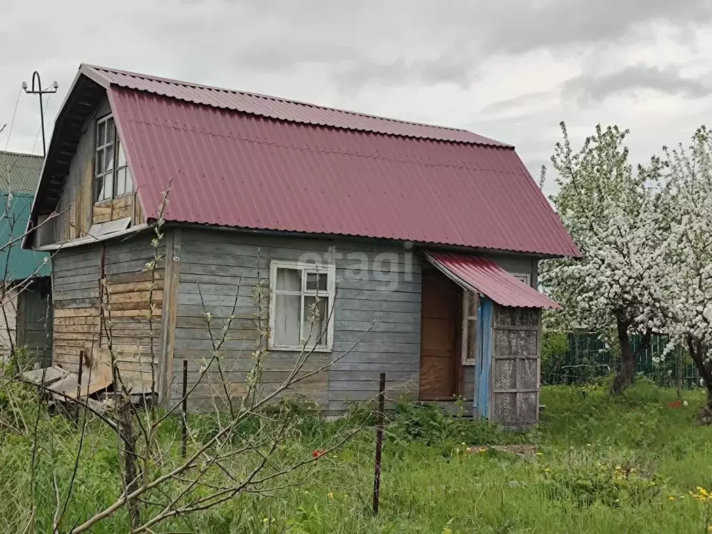 Дом в Новосибирская область, Новосибирск Рабис СНТ, 34 (50 м) - Фото 0