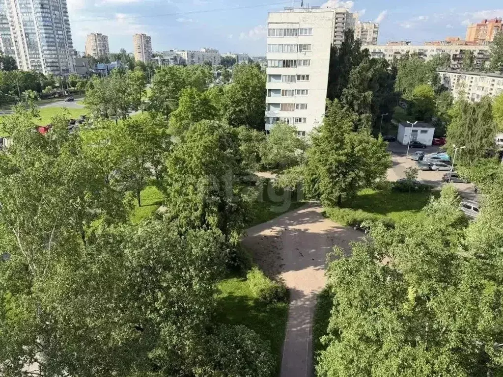 2-к кв. Санкт-Петербург просп. Культуры, 11К1 (54.7 м) - Фото 2