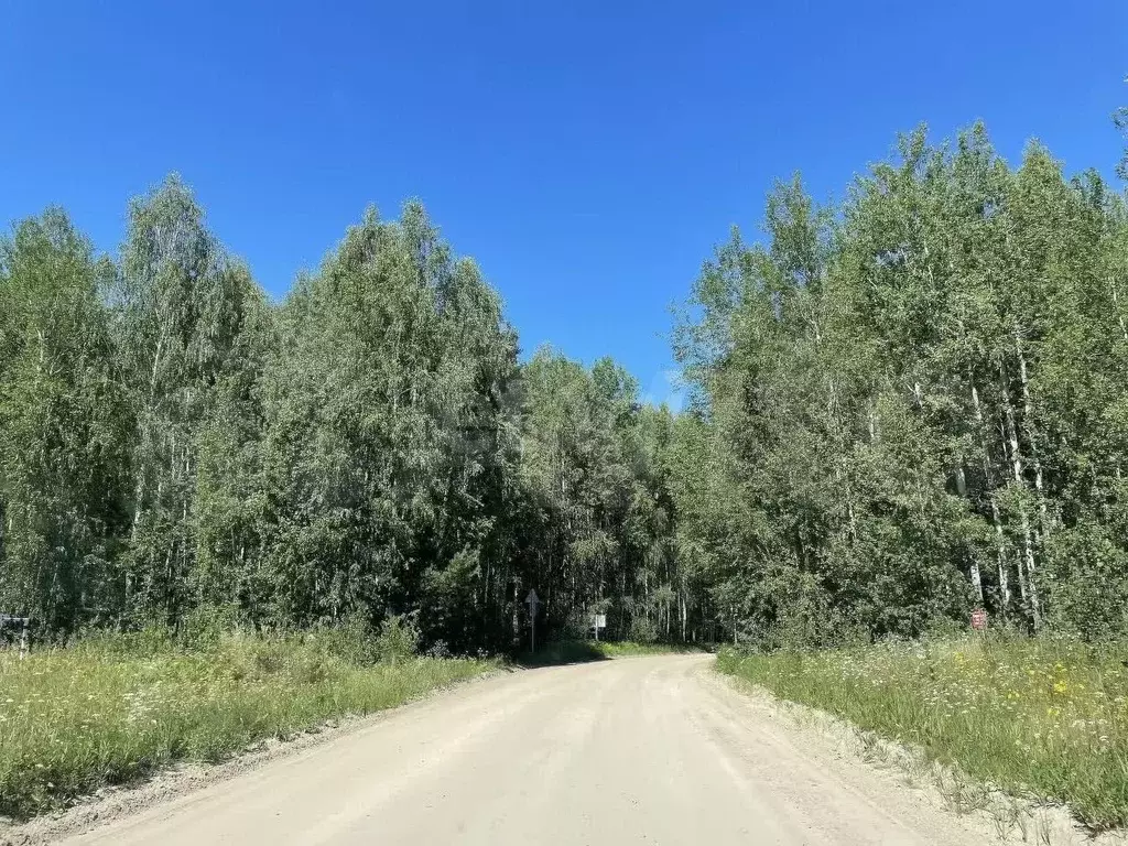 Участок 15 сот. (ИЖС) - Фото 0