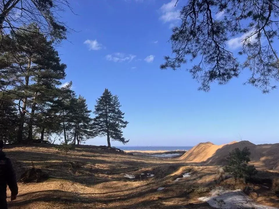 Участок в Ленинградская область, Ломоносовский район, Лебяженское ... - Фото 1