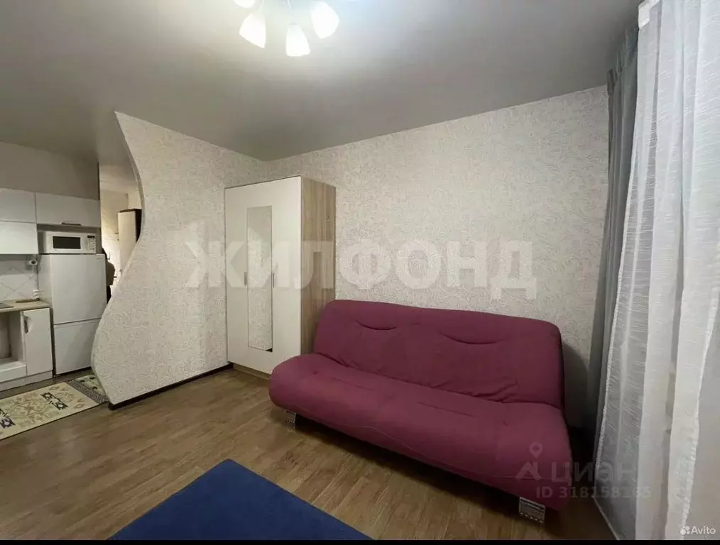Студия Новосибирская область, Новосибирск ул. Виктора Уса, 9 (28.0 м) - Фото 1