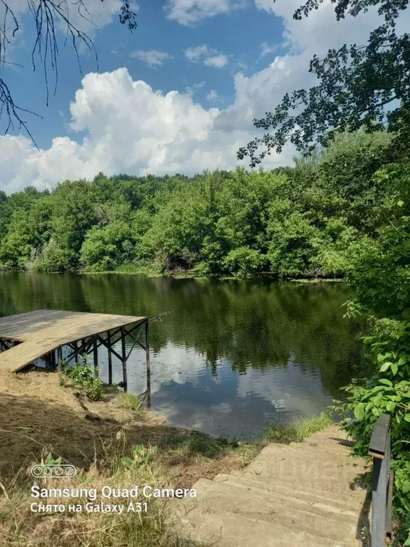 Дом в Воронежская область, Новоусманский район, Усманское 1-е с/пос, ... - Фото 2