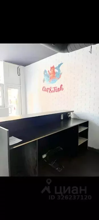 Помещение свободного назначения в Москва ул. Столетова, 19 (24 м) - Фото 1