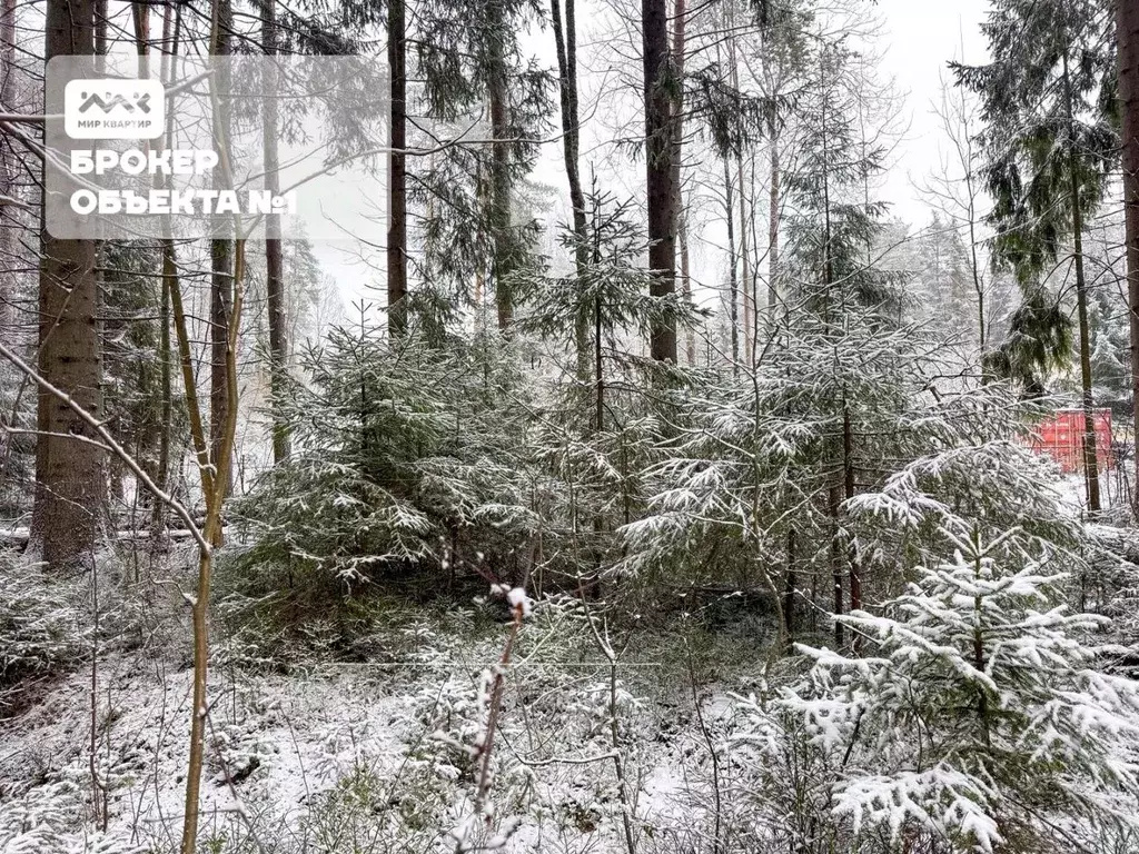 Участок в Санкт-Петербург, Санкт-Петербург, Зеленогорск ул. 2-я Лесная ... - Фото 1