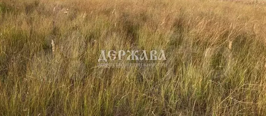 Участок 15 сот. (ИЖС) - Фото 0