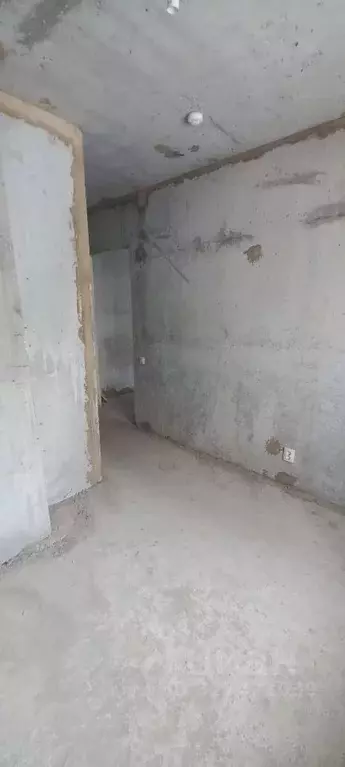 1-к кв. Саратовская область, Саратов Карьерная ул., 2Г (28.2 м) - Фото 2