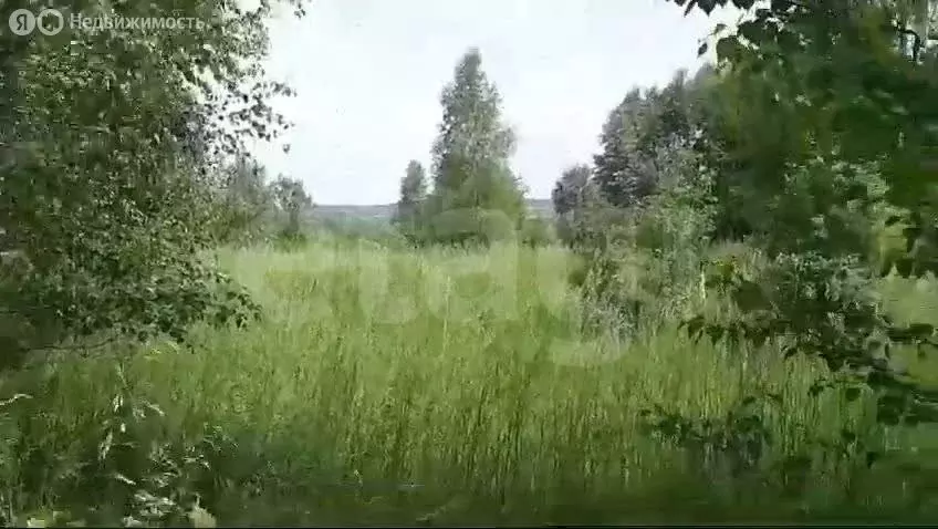 Участок в Калининградская область, Нестеров (100 м) - Фото 2