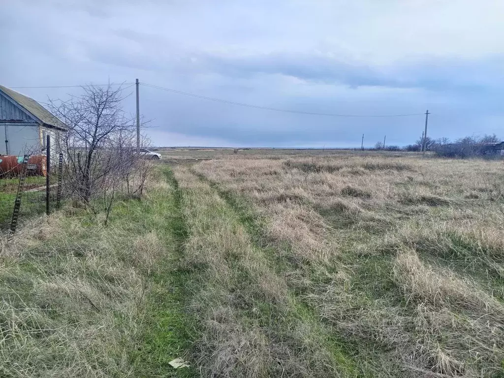 Участок в Саратовская область, Энгельсский район, Терновское ... - Фото 1