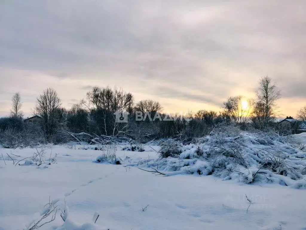 Участок в Ленинградская область, Выборгский район, Рощинское городское ... - Фото 0