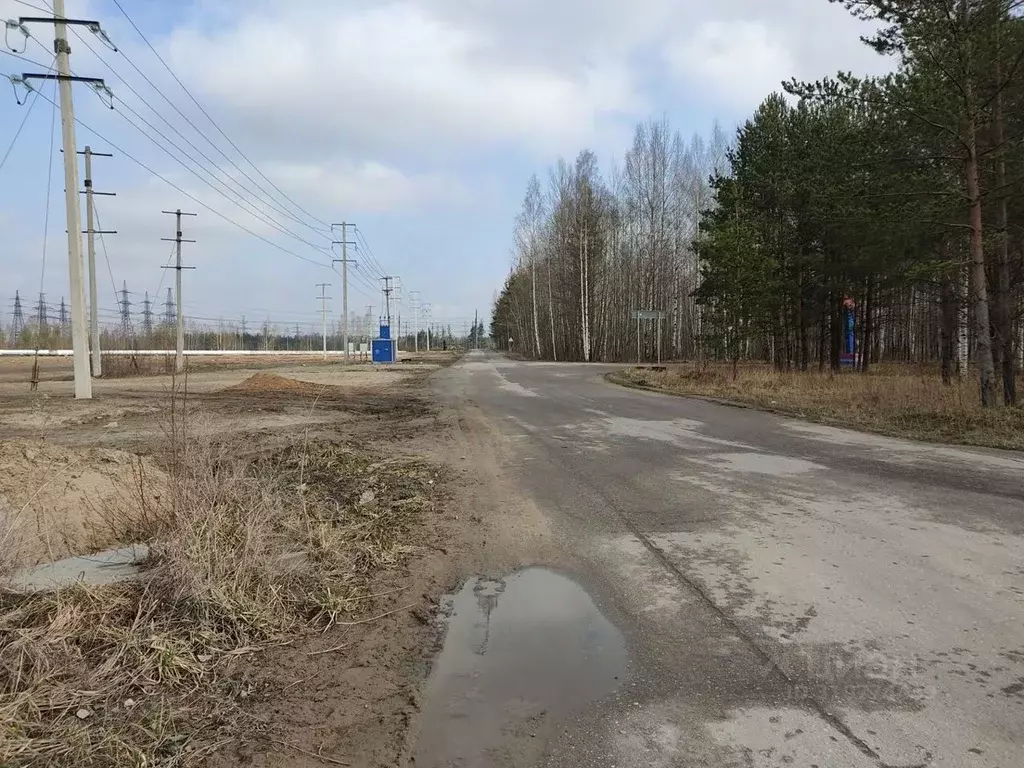 Участок в Ленинградская область, Мурино Всеволожский район, ... - Фото 0