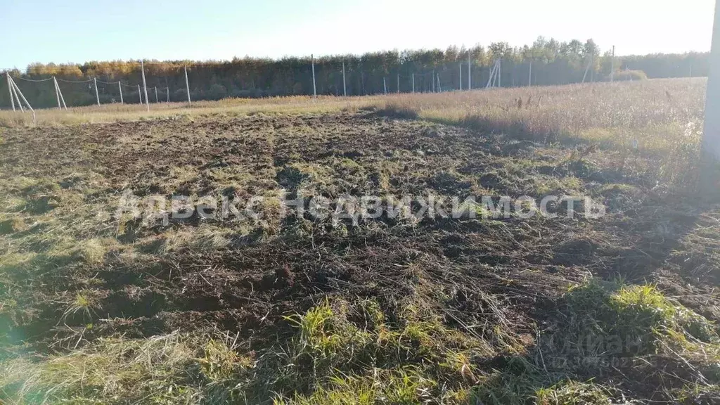 Участок в Тюменская область, Тюменский район, с. Червишево  (8.4 сот.) - Фото 1