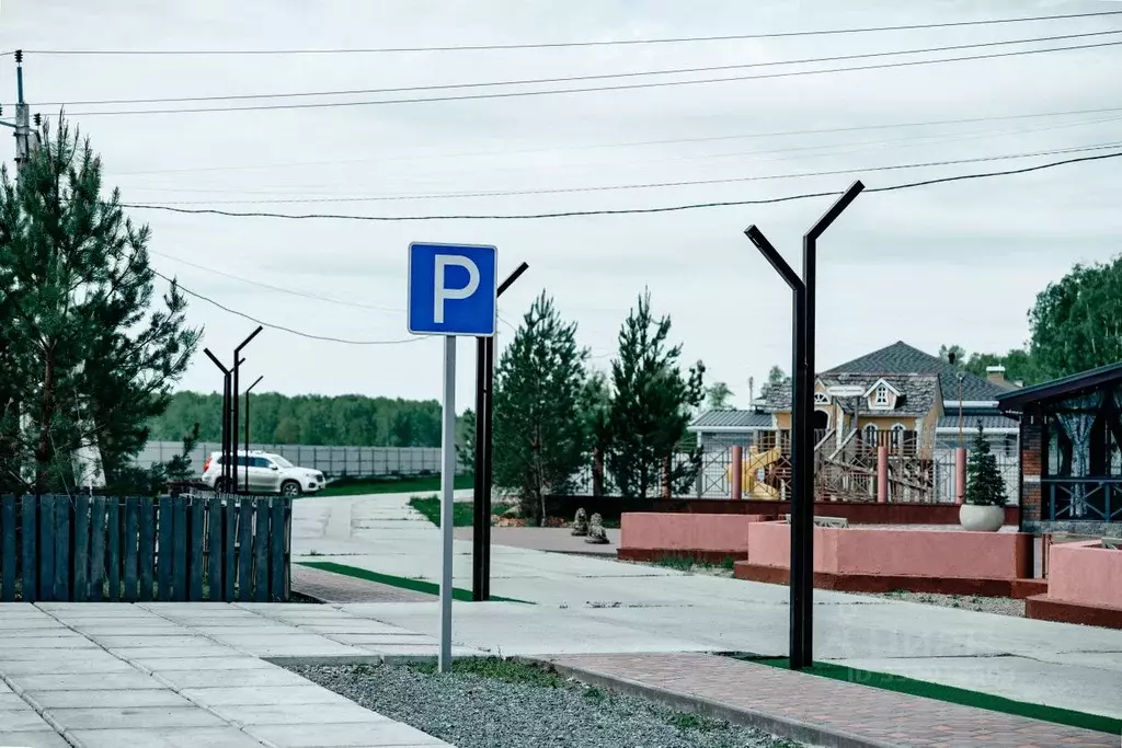 Участок в Омская область, Омский район муниципальный округ, с. Пушкино ... - Фото 2