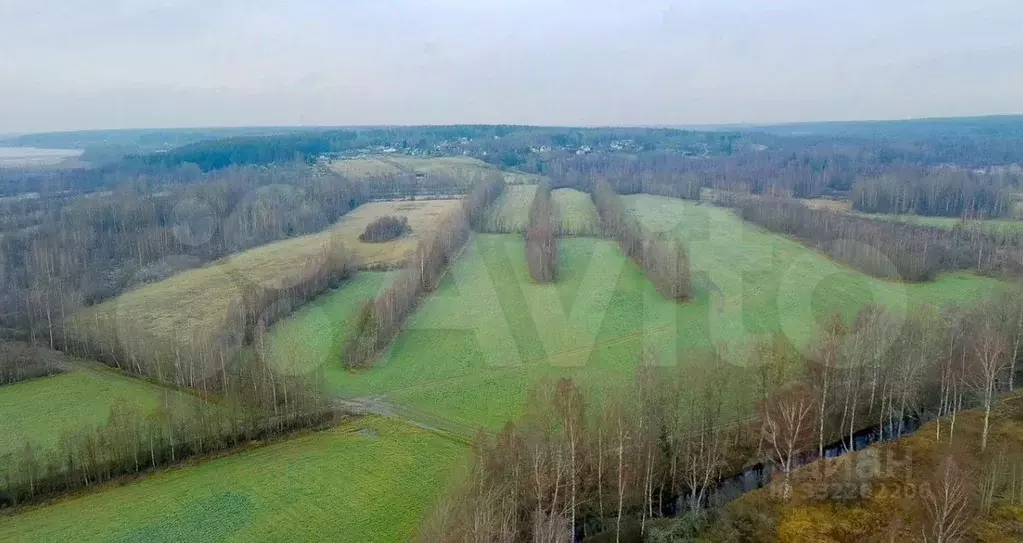 Участок в Ленинградская область, Выборгский район, Рощинское городское ... - Фото 1