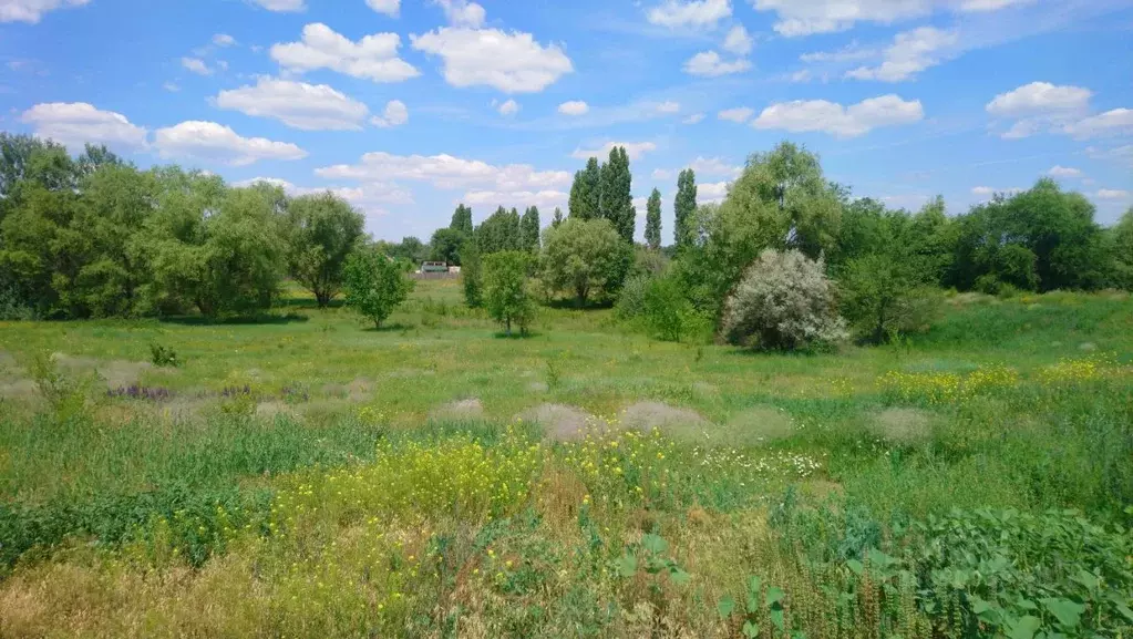 Участок в Саратовская область, Марксовский район, Подлесновское ... - Фото 2