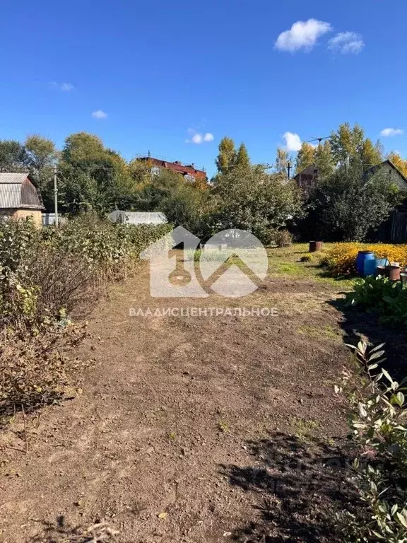 Участок в Новосибирская область, Бердск Восток-1 СНТ, ул. Озерная, 172 ... - Фото 2
