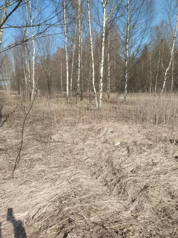 Участок в Московская область, Клин городской округ, д. Щекино  (14.15 ... - Фото 0