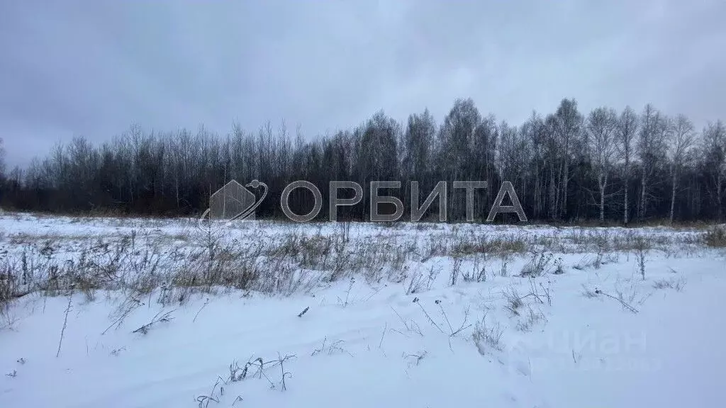 Участок в Тюменская область, Нижнетавдинский район, д. Новоуфимка  ... - Фото 1