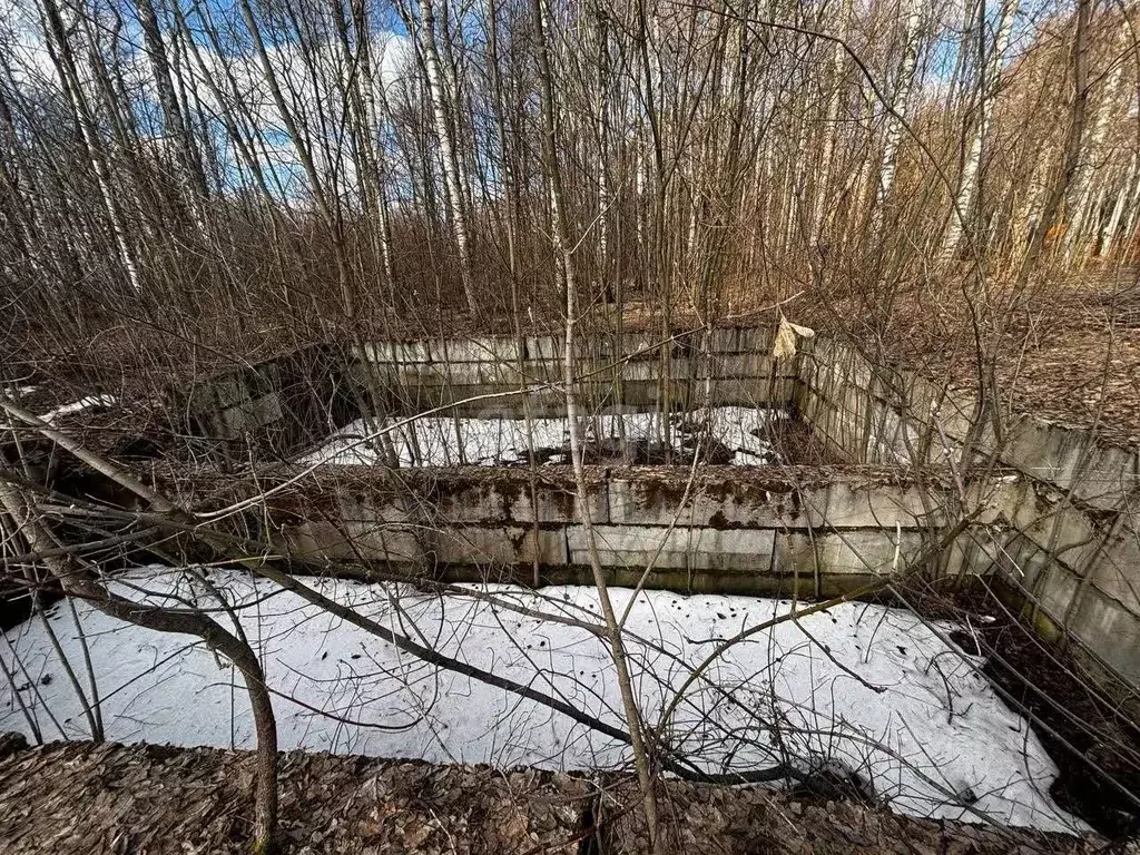 Участок в Нижегородская область, Кстовский муниципальный округ, д. ... - Фото 0