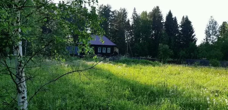 Дом в Пермский край, Очерский городской округ, д. Пономари  (80 м) - Фото 0