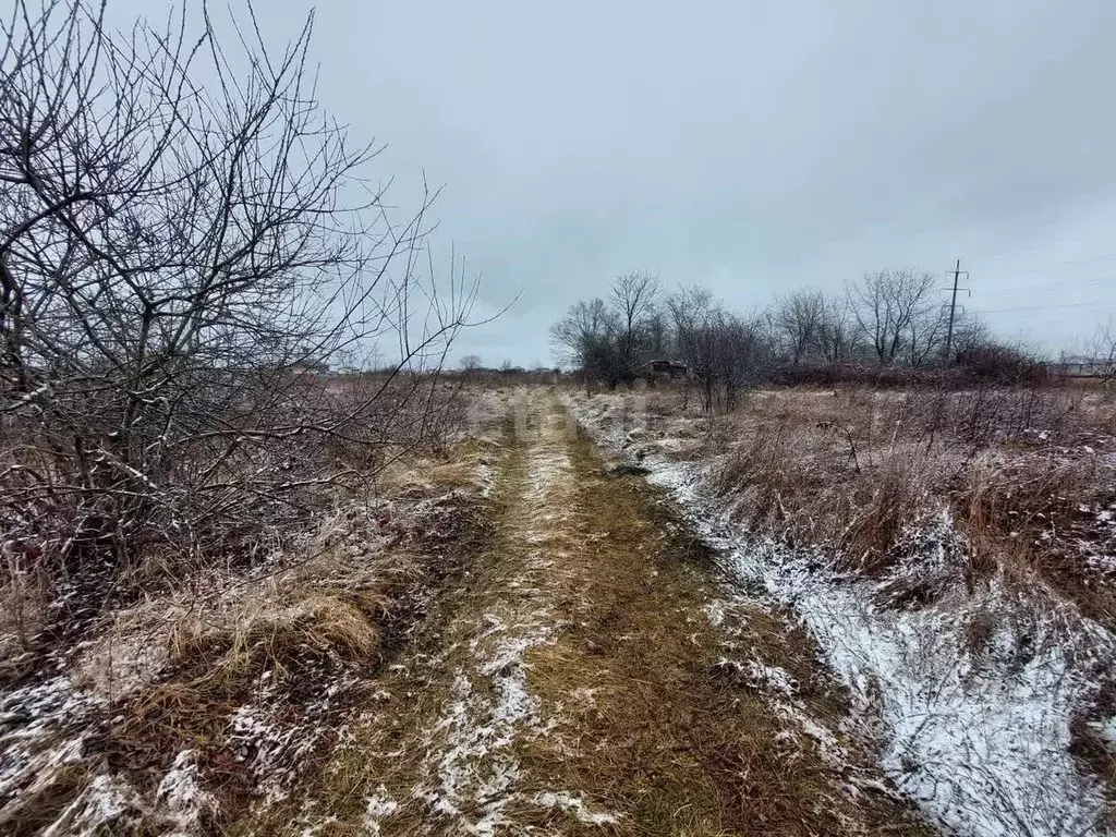 Участок в Северная Осетия, Владикавказ Хурзарин СНТ, ул. Сливовая (4.9 ... - Фото 1