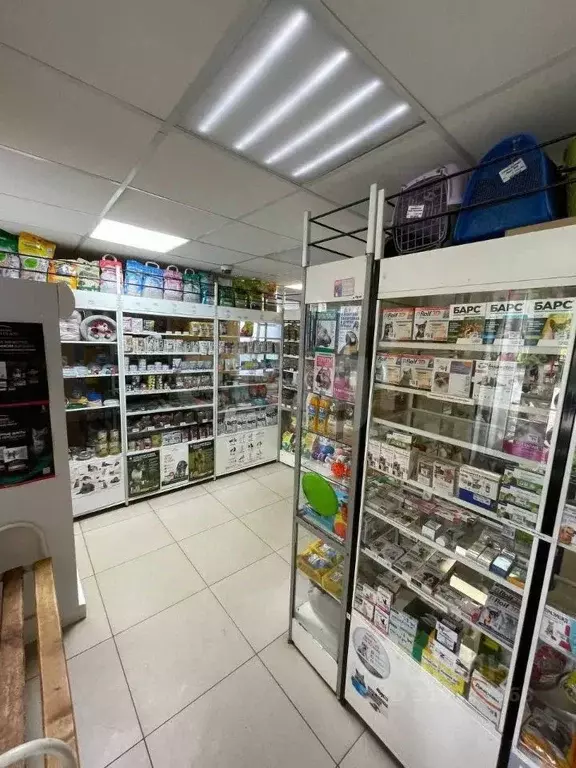 Торговая площадь в Ярославская область, Гаврилов-Ям ул. Чапаева, 31 ... - Фото 1