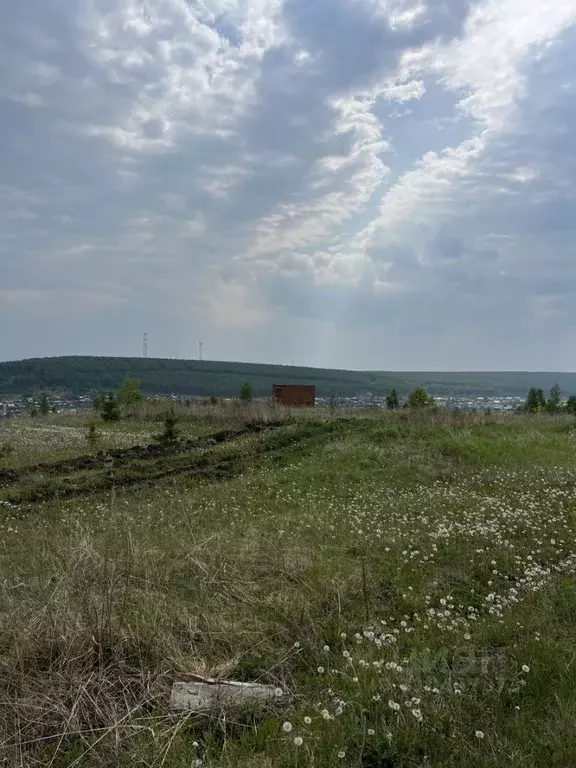 Участок в Свердловская область, Арти пгт ул. Ленина (14.23 сот.) - Фото 1