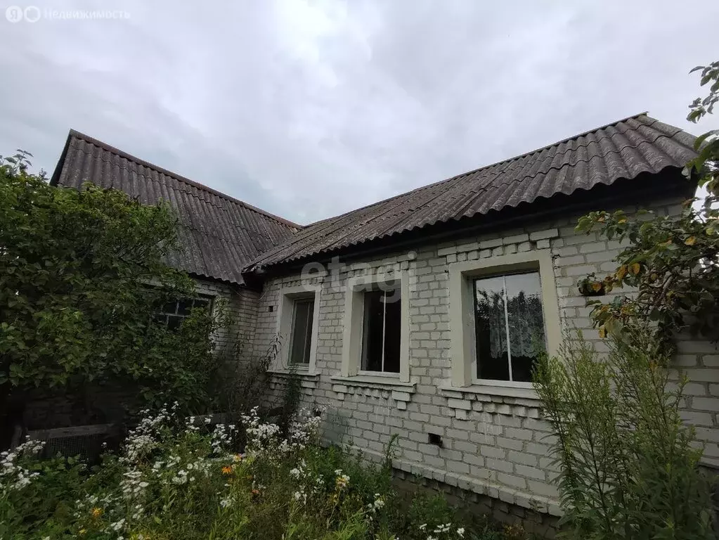Участок в Ивановка, Первомайская улица (17.6 м) - Фото 0