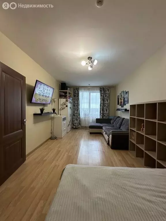 1-комнатная квартира: Анкудиновка, Русская улица, 5 (38 м) - Фото 1