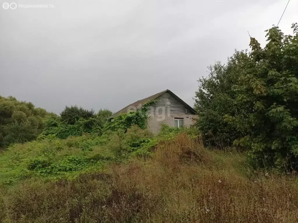 Дом в Тамбовский муниципальный округ, рабочий посёлок Новая Ляда, ... - Фото 0