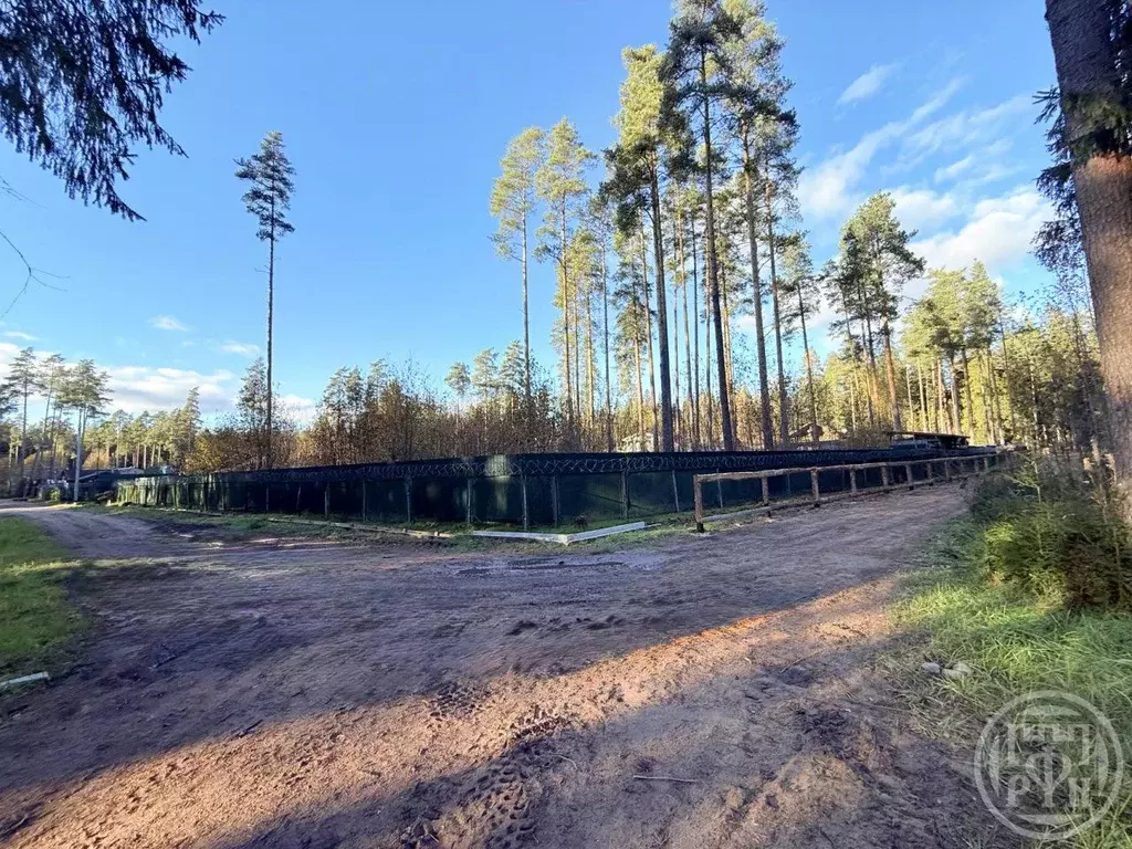 Участок в Ленинградская область, Выборгский район, Рощино пгт  (28.04 ... - Фото 2