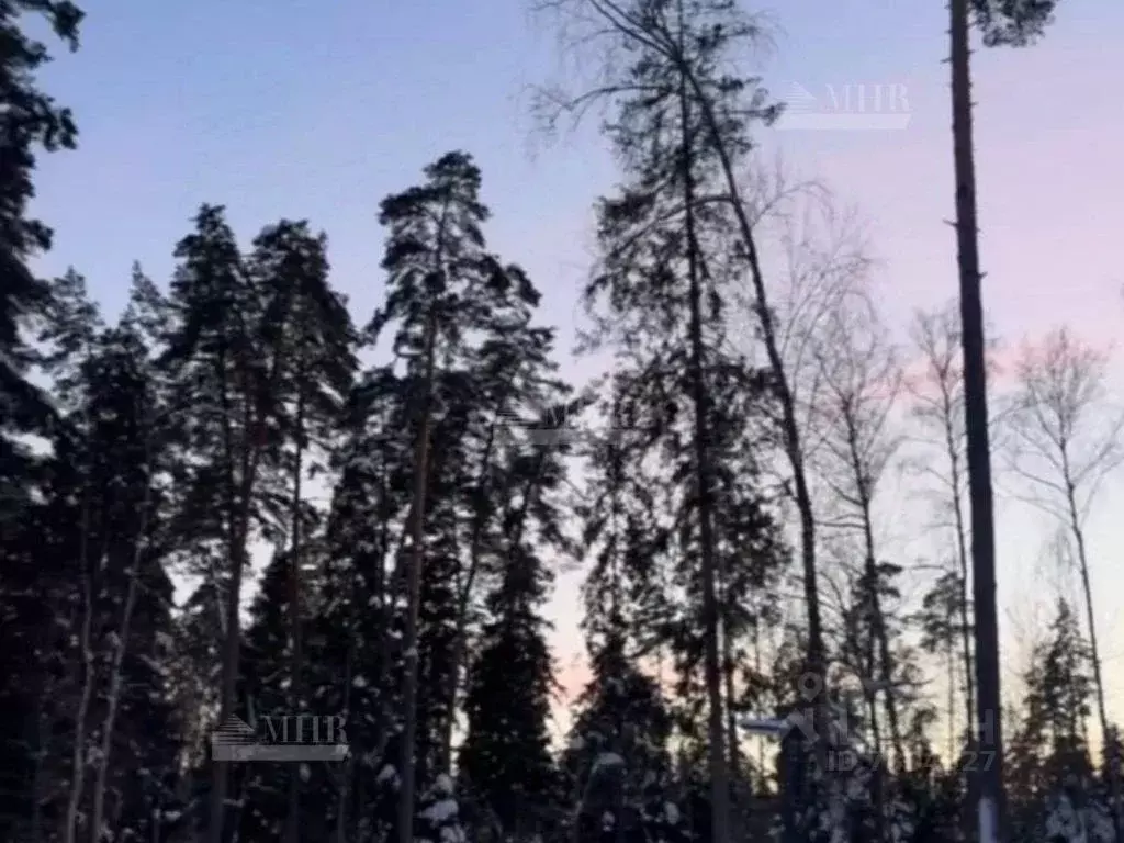 Участок в Московская область, Одинцовский городской округ, пос. ... - Фото 1