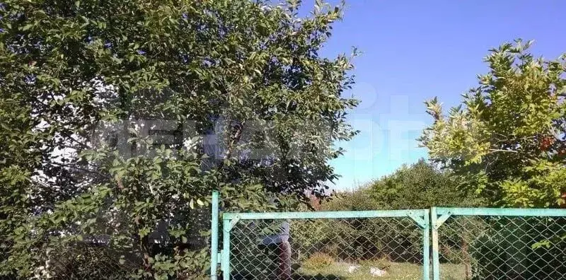 Участок 6,5 сот. (ИЖС) - Фото 1