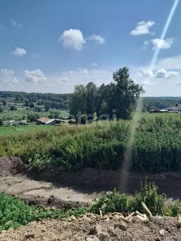 Участок в Новосибирская область, Новосибирский район, Раздольненский ... - Фото 0