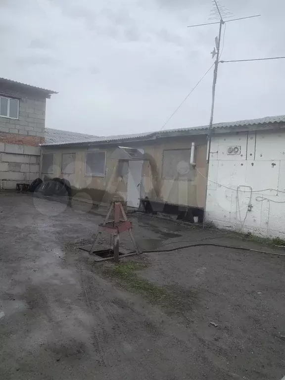 Свободного назначения - Фото 1