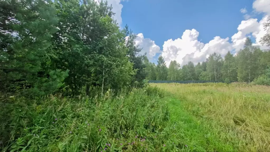 Участок в Московская область, Наро-Фоминский городской округ, Руть СНТ ... - Фото 1
