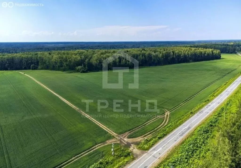 Участок в Любанское городское поселение, деревня Ивановское, ... - Фото 1