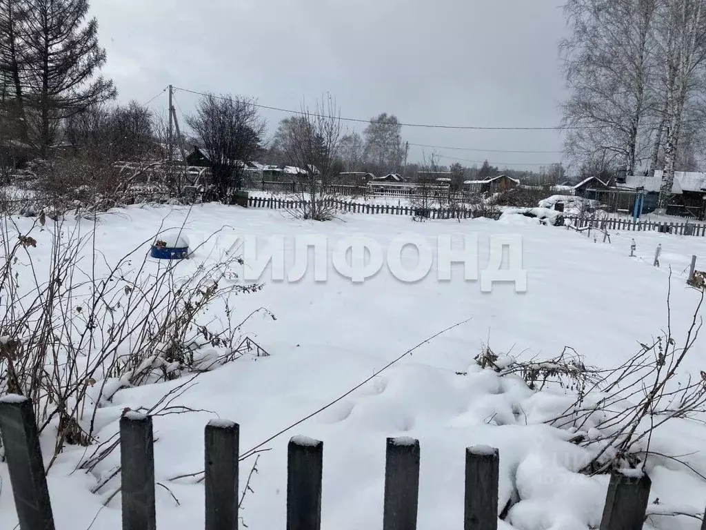 Участок в Новосибирская область, Новосибирск Заря-2 СТ, проезд 7-й ... - Фото 1