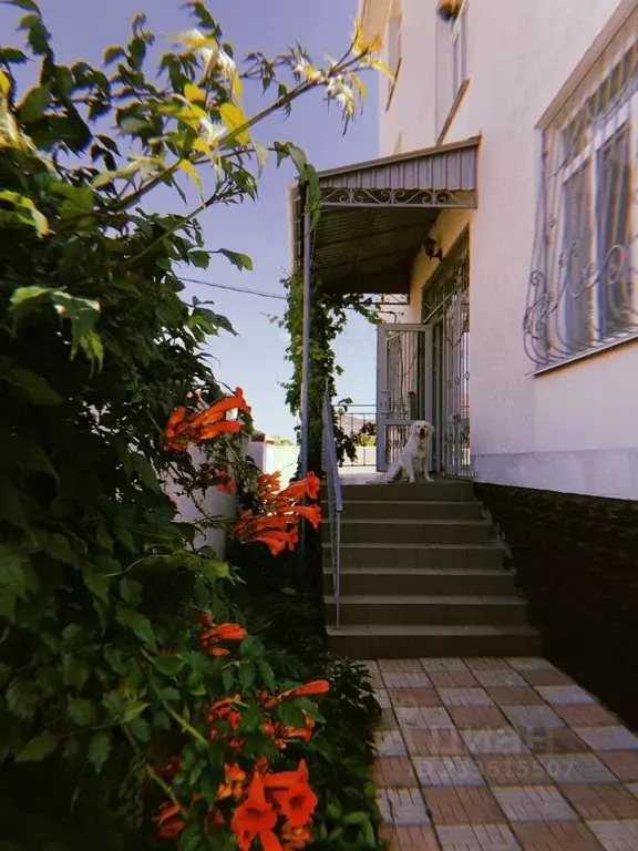 Комната Крым, Сакский район, с. Штормовое ул. Черноморская, 10 (20.0 ... - Фото 0