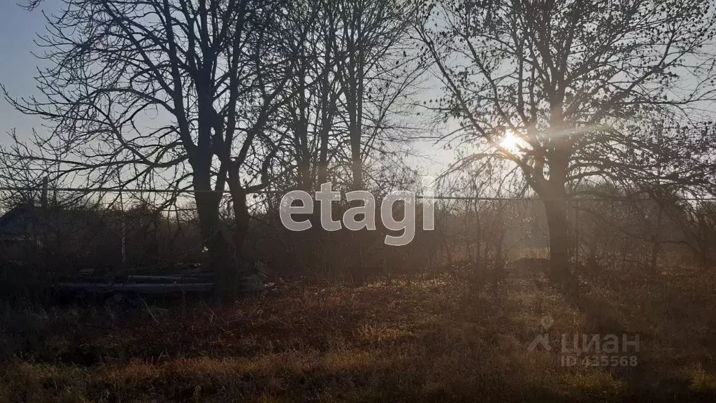 Участок в Белгородская область, Корочанский район, Новослободское ... - Фото 1